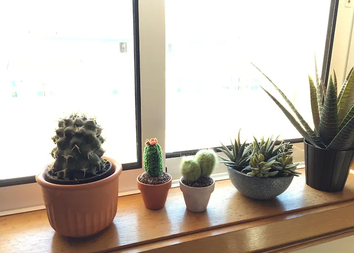 Apartamento Casa Da Barra